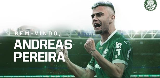 Reprodução/ Palmeiras