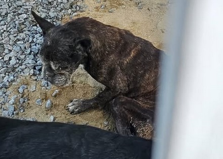 Divulgação/Polícia Civil