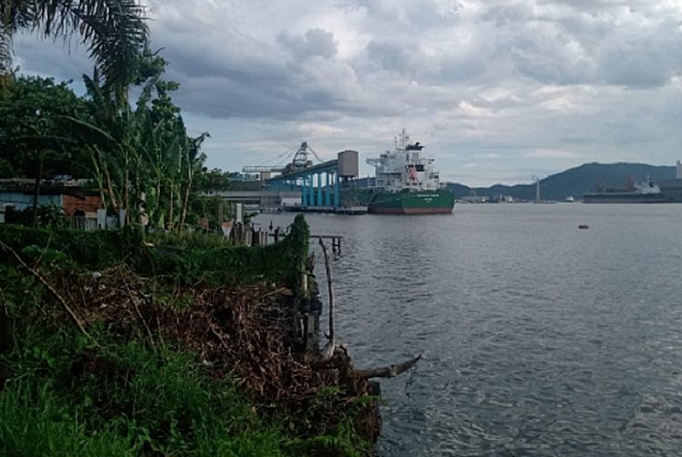Divulgação/CMP Guarujá