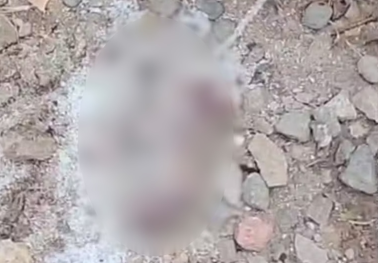 Reprodução/Redes sociais