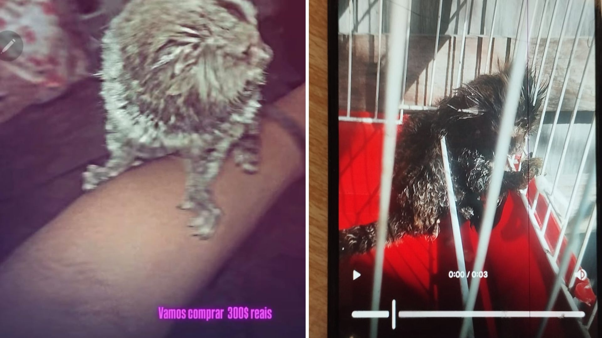 Divulgação/Polícia Civil