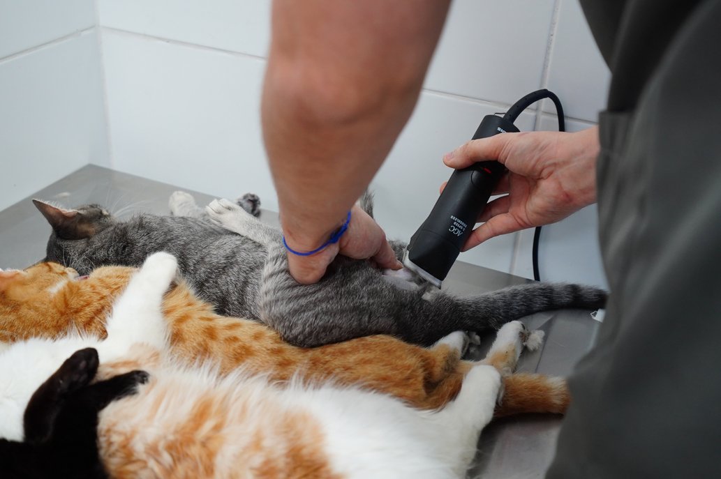 Divulgação/Prefeitura de Mongaguá