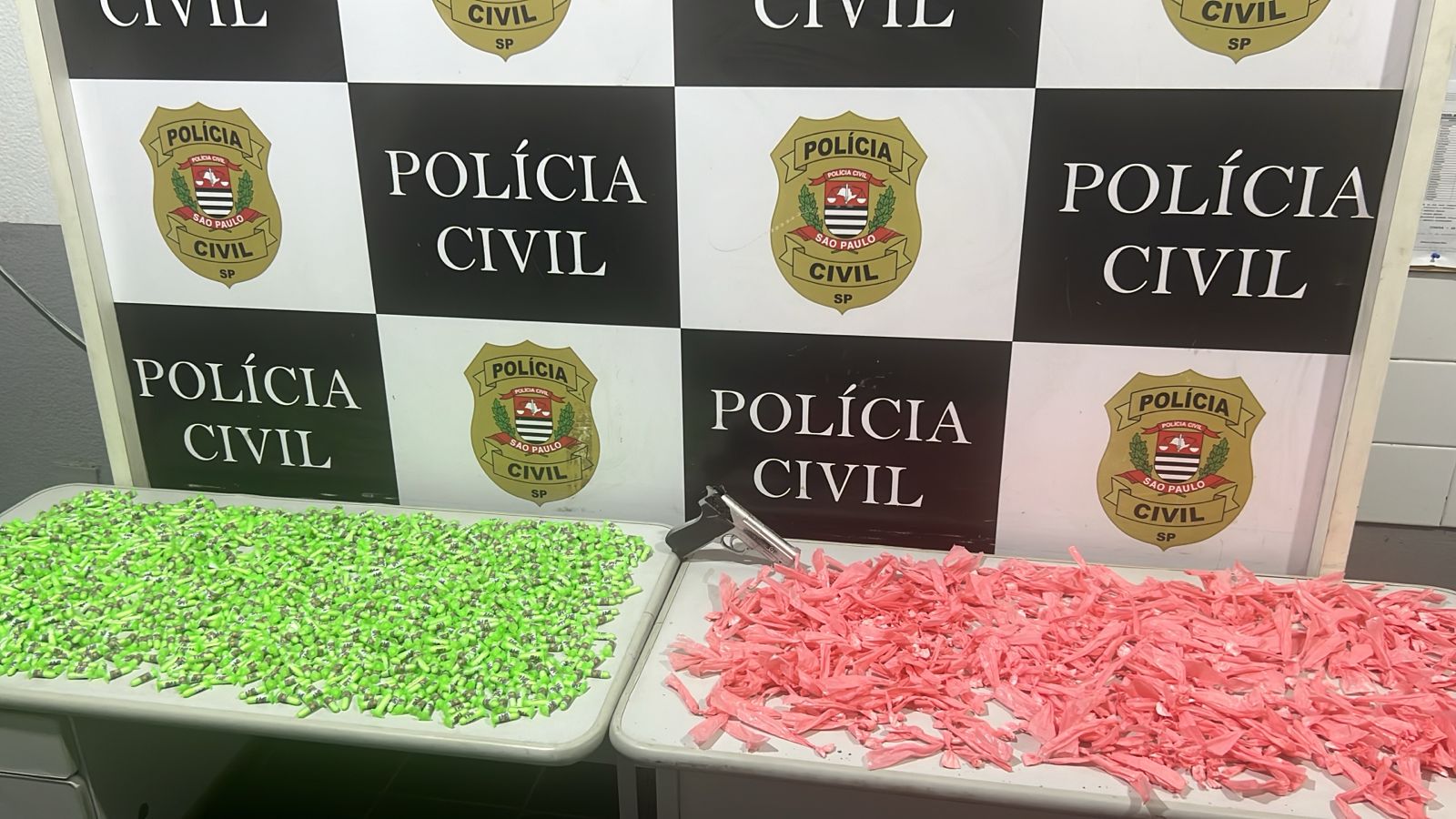Divulgação/Polícia Civil