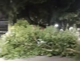 Reprodução/Redes sociais