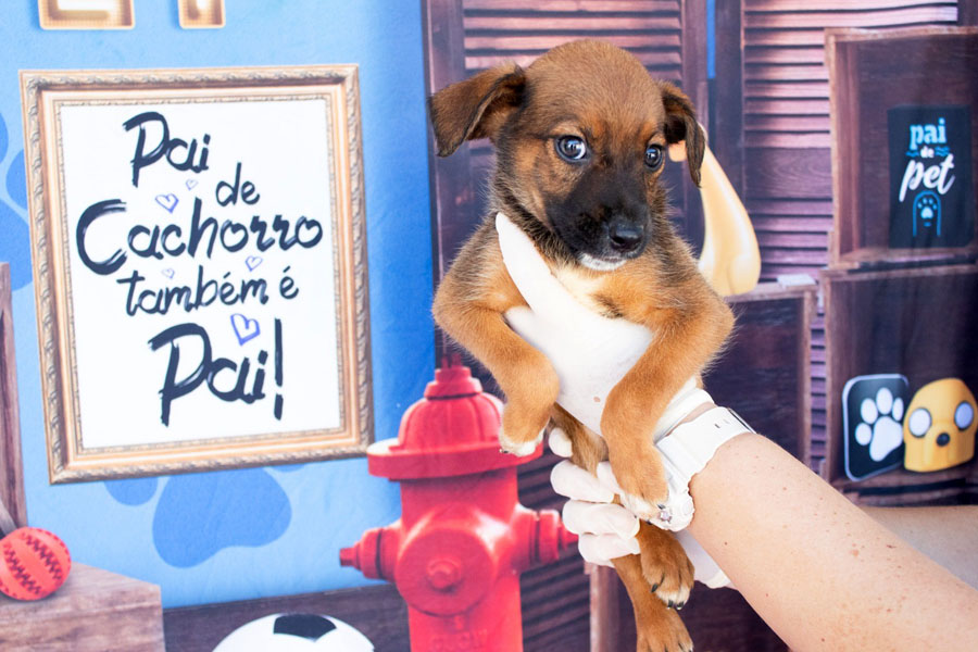 Divulgação/Prefeitura de São Vicente