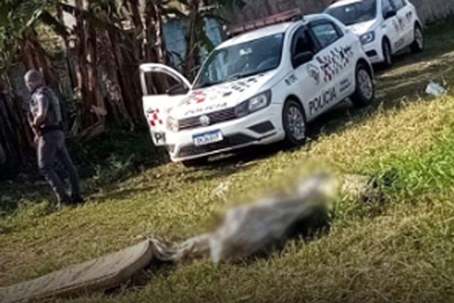 Reprodução/ITA+Notícias