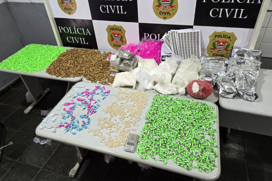 Divulgação/Polícia Civil