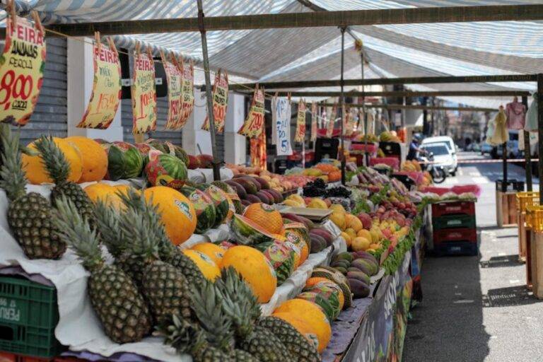 Reprodução/ Prefeitura Municipal de Santos