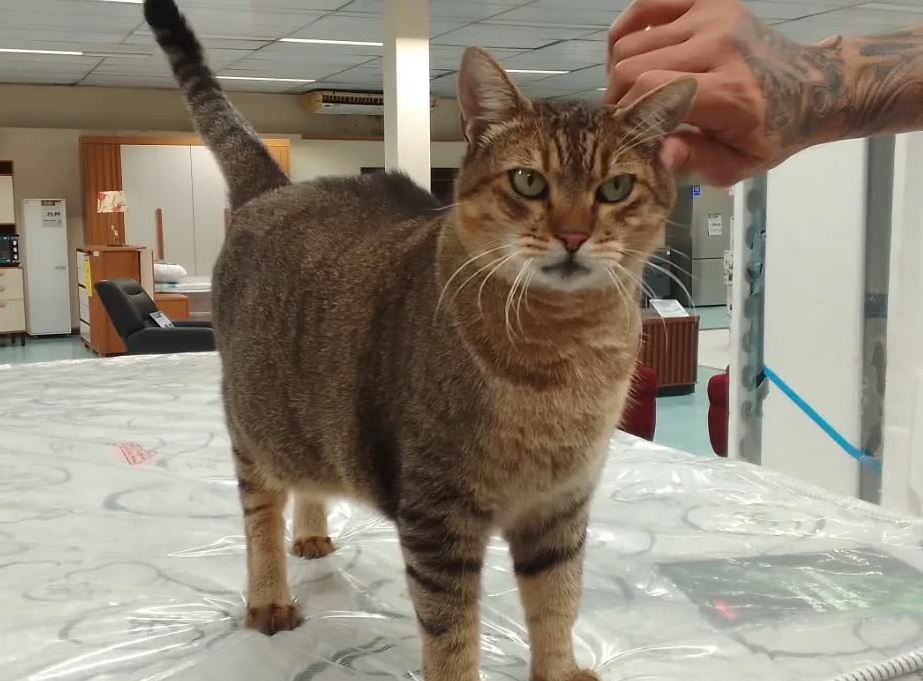 Reprodução/Facebook