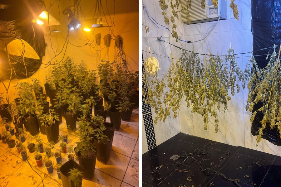 Divulgação/Polícia Militar