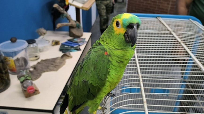 Divulgação/Prefeitura de São Vicente 