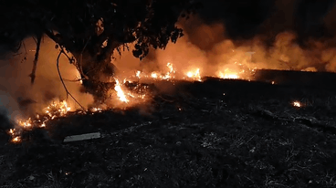 Divulgação/Prefeitura de Mongaguá