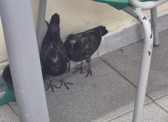 Reprodução/ Instagram