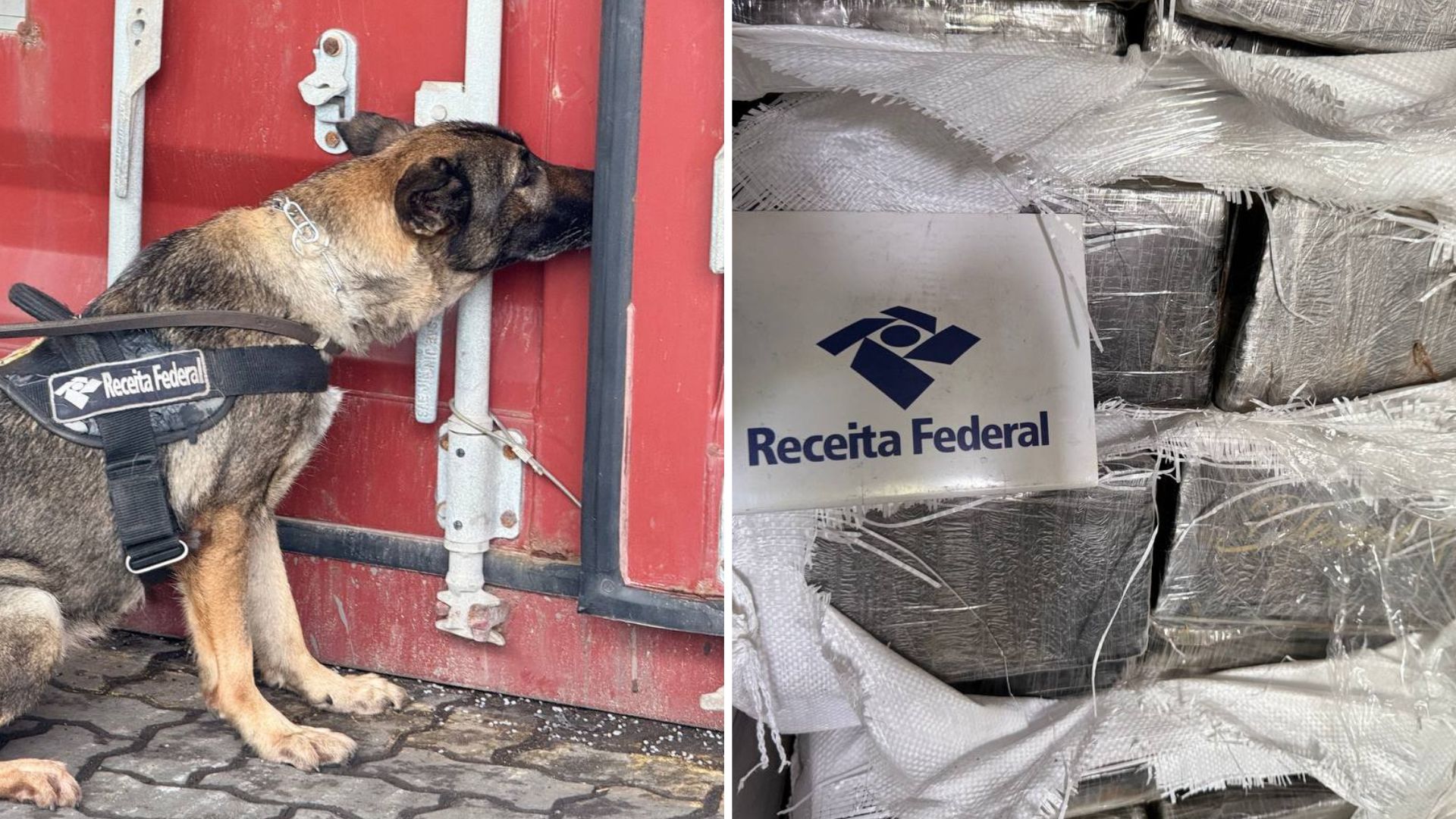 Receita Federal apreende quase meia tonelada de cocaína no Porto de Santos