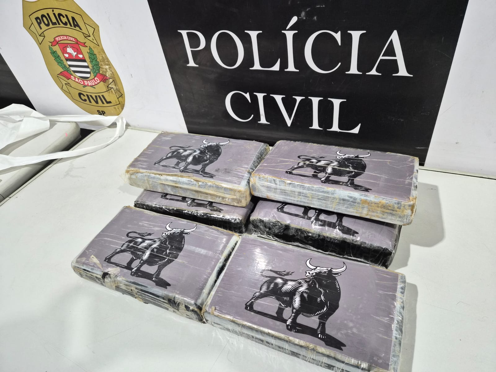 Divulgação/Polícia Civil