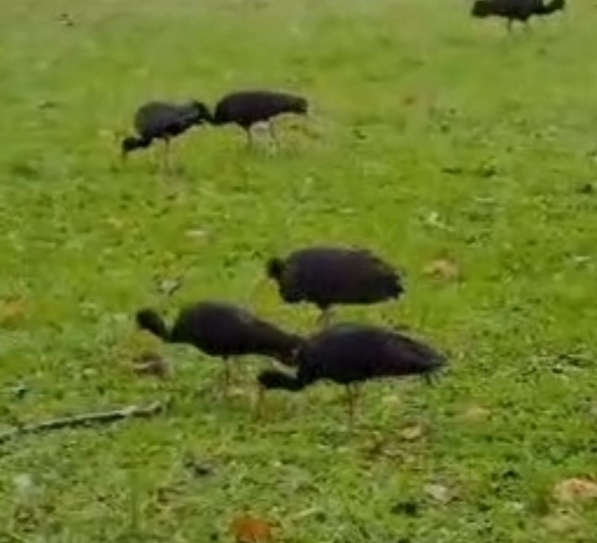 Foto: Arquivo Pessoal