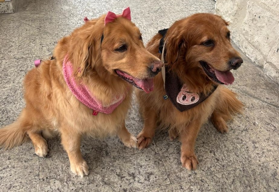 Divulgação/Santa Casa de Santos