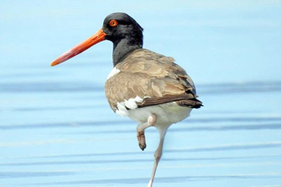 Karina Ávila/Arquivo Pessoal