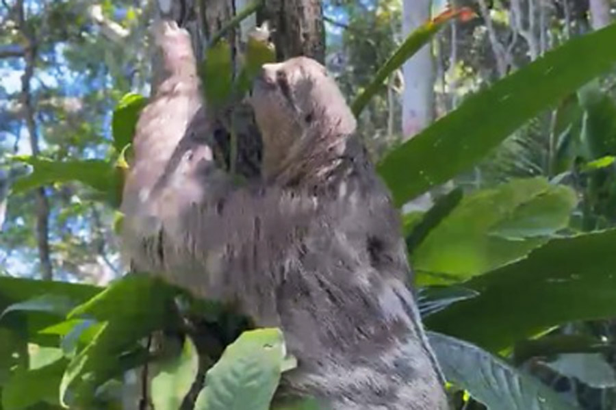 Divulgação/Prefeitura de Guarujá