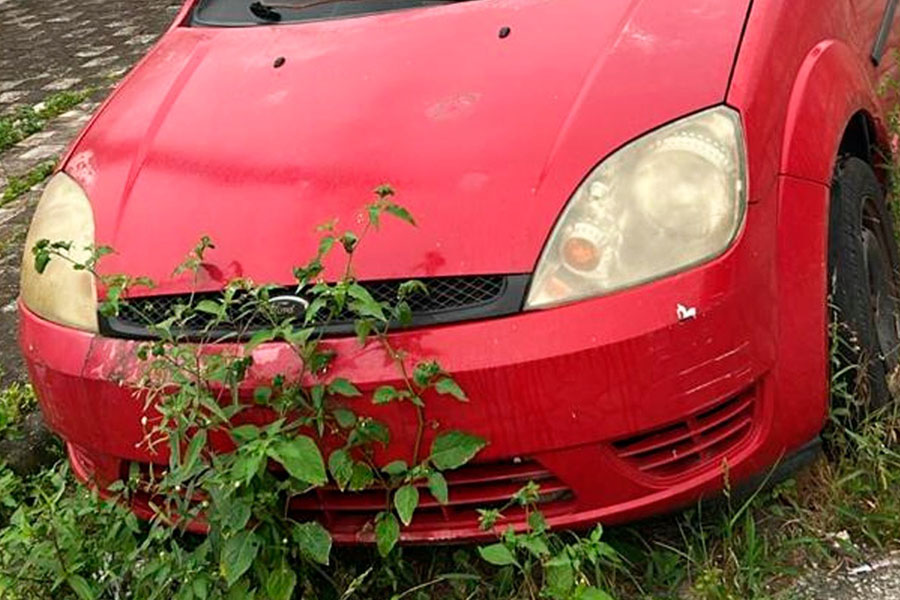 Divulgação/Semutran