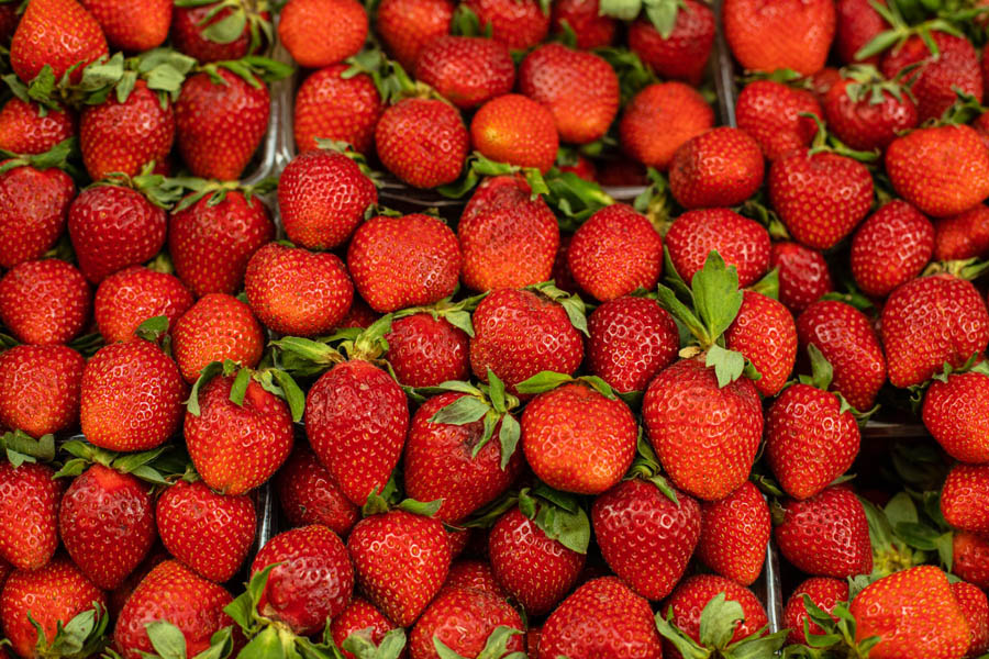 Divulgação/Prefeitura de Bertioga