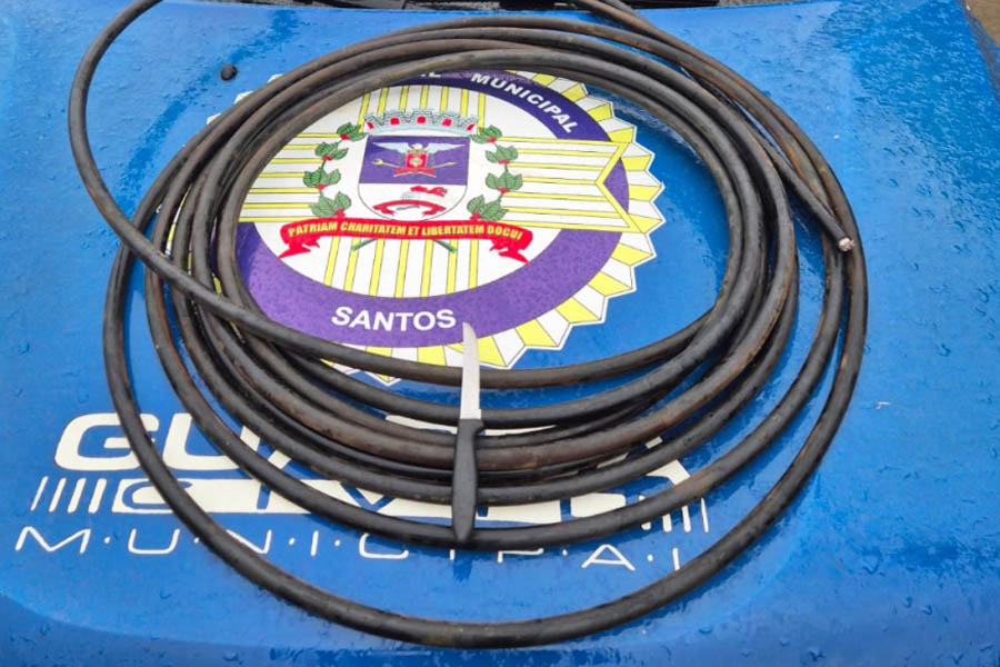 Divulgação/Prefeitura de Santos