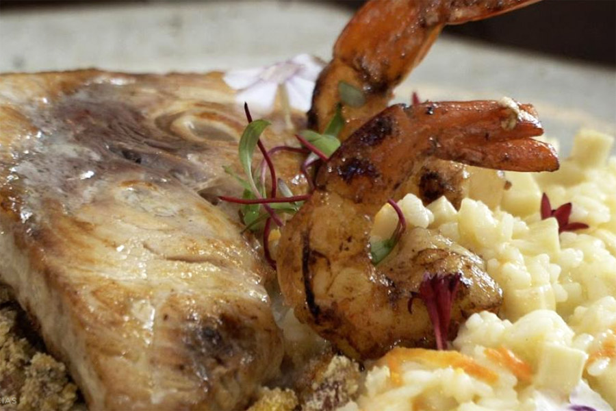 Divulgação/Prefeitura de Santos