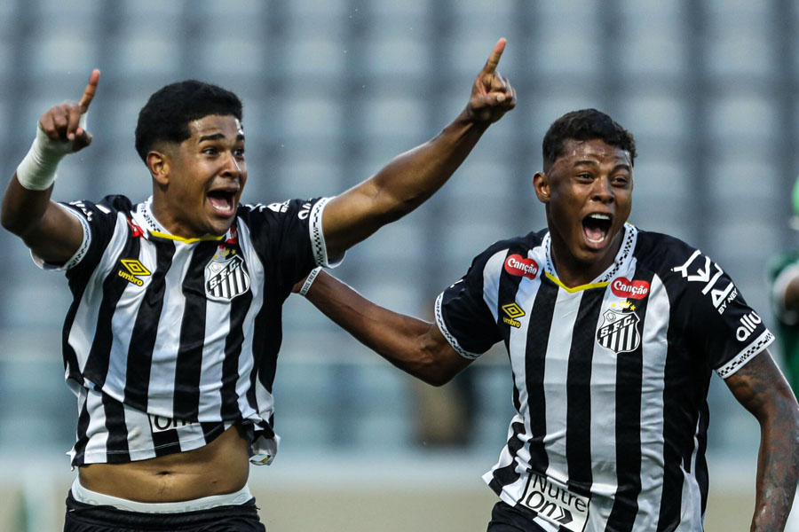 Reinaldo Campos/Divulgação Santos FC