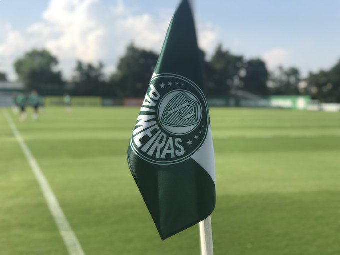 Reprodução/X @Palmeiras