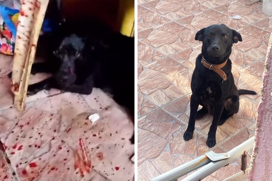 Reprodução/Instagram