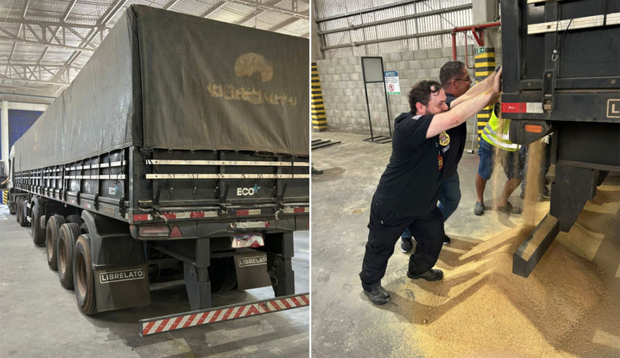 Divulgação/Polícia Civil