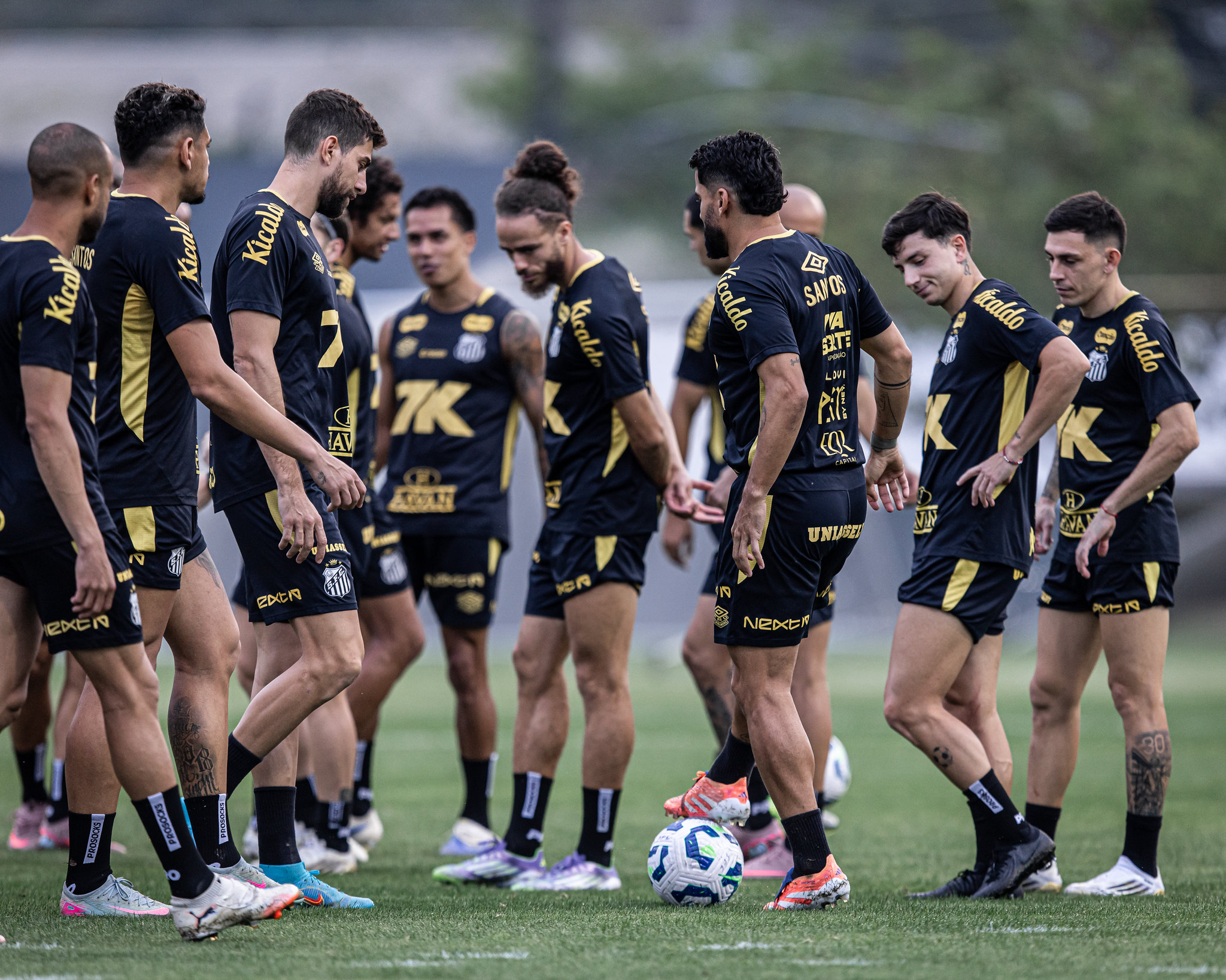 Raul Baretta/Santos FC