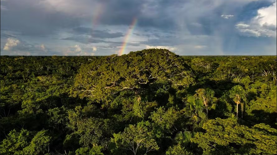 Alexandre Cruz-Noronha/Sema-AC
