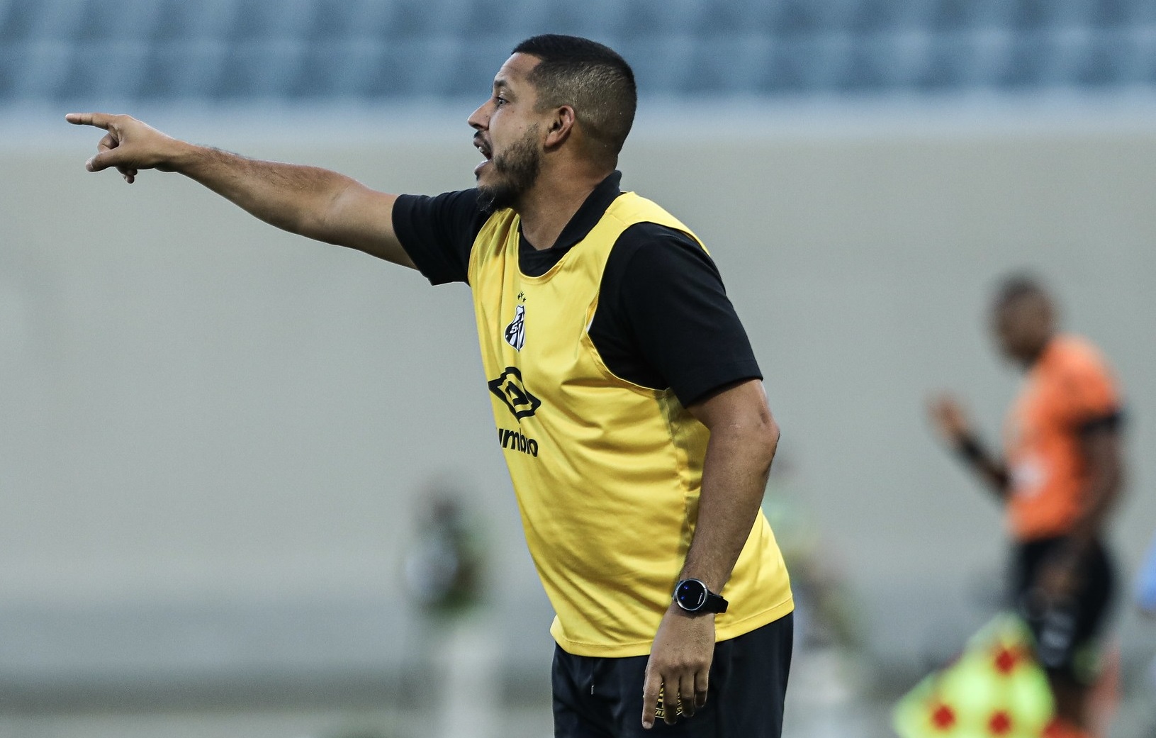 Reinaldo Campos/Santos FC