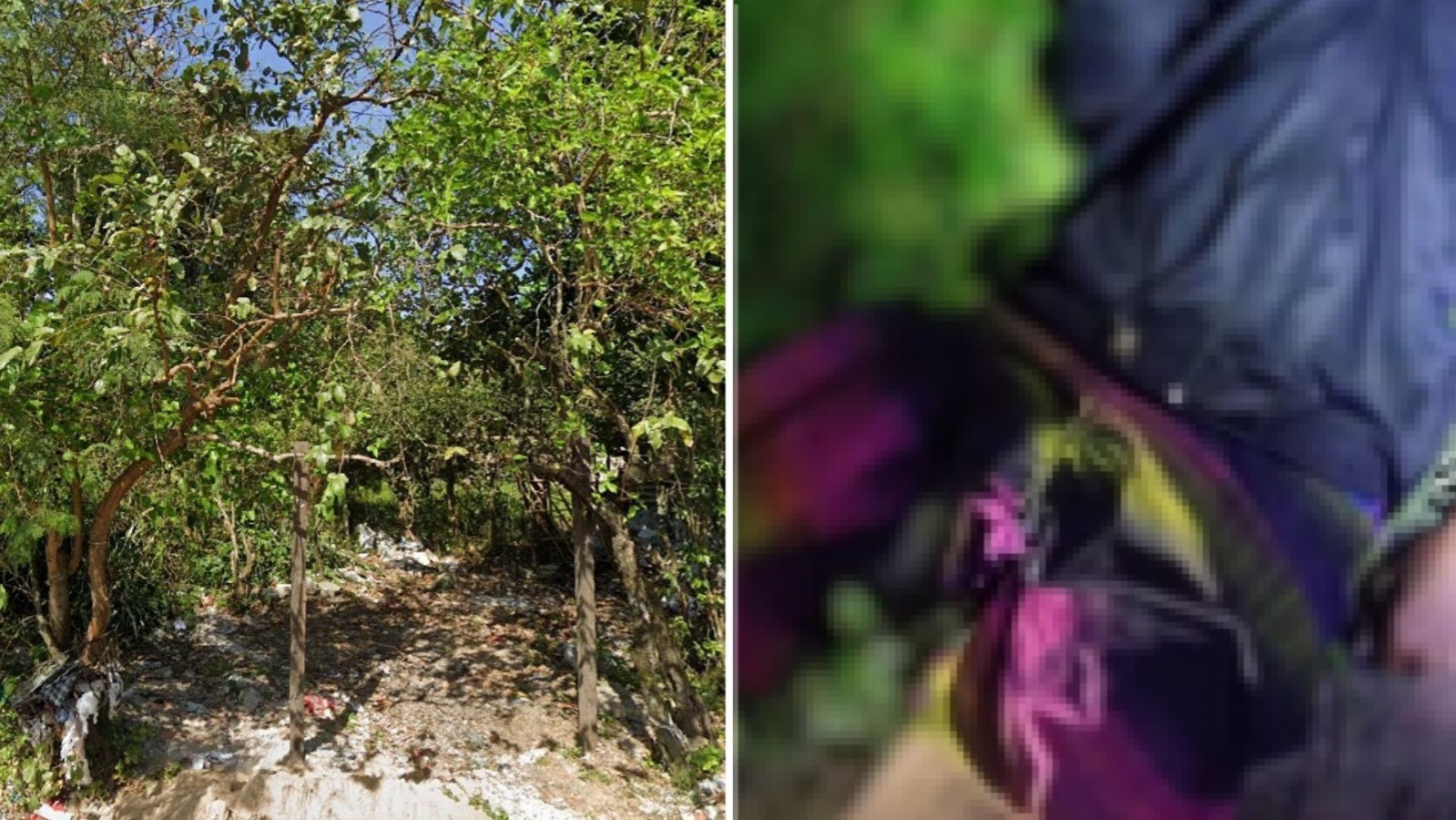 Reprodução/Google Street View e GCM Cubatão