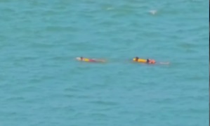 Reprodução/@mwdrone013 