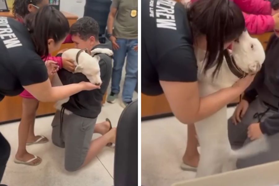 Divulgação/Polícia Civil