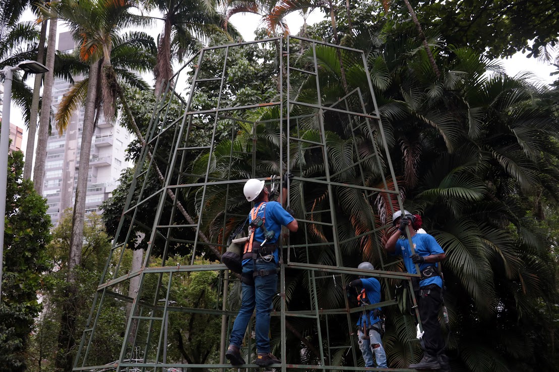 Francisco Arrais/PMS