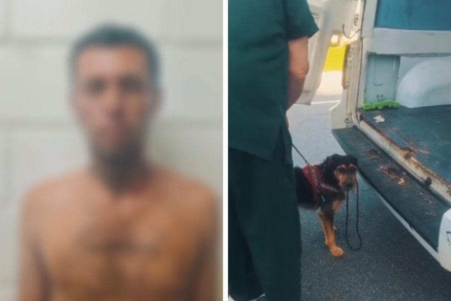 Divulgação/GCM Bertioga