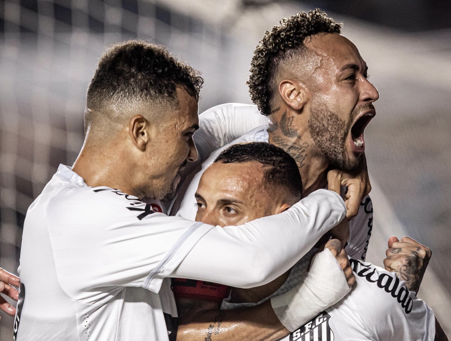 Raul Baretta/Santos FC