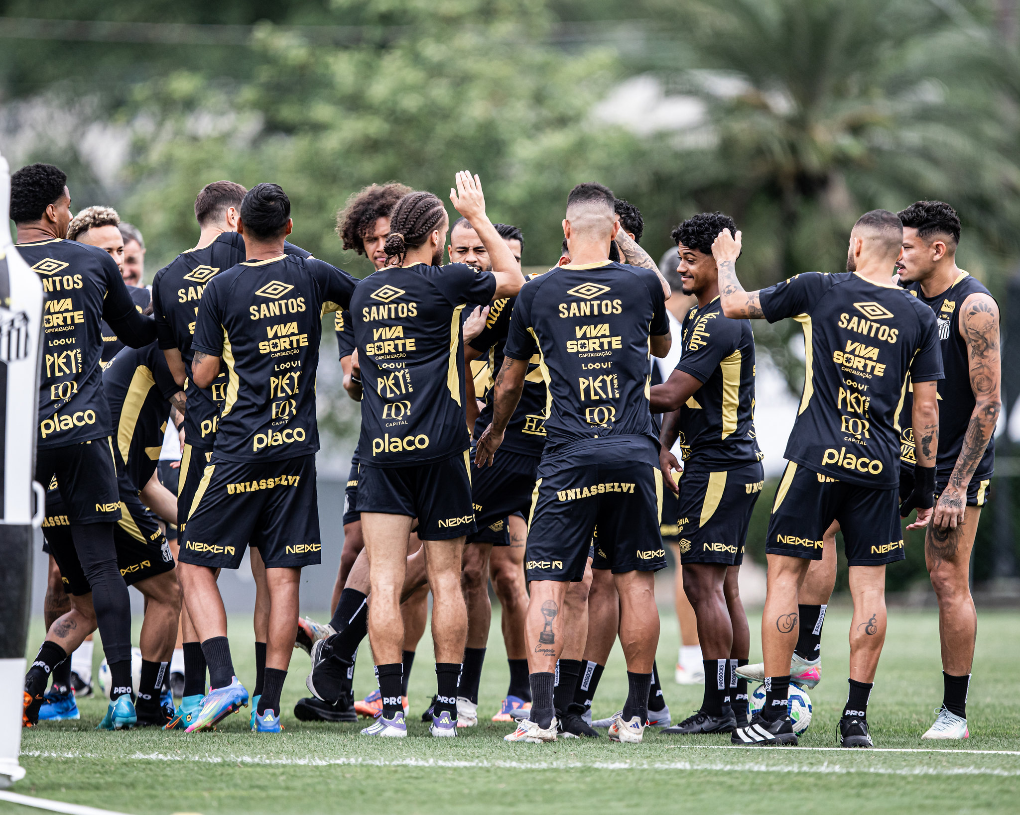 Raul Baretta/Santos FC