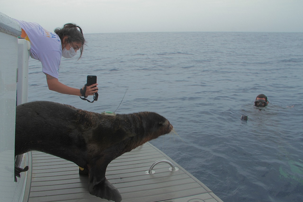 Divulgação/Instituto Gremar 