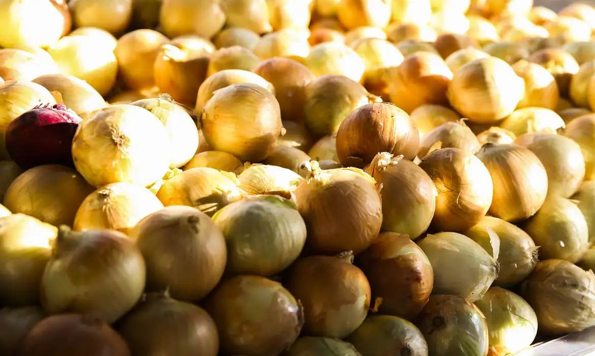 Valter Campanato/Agência Brasil