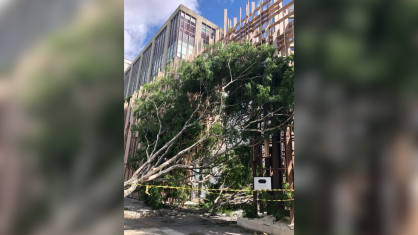 Ventos chegam a 96 km/h em São Paulo e deixam mais de 1,9 milhão de imóveis sem luz