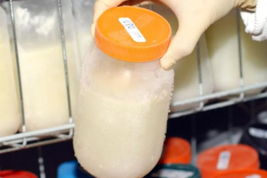 Posto de Coleta de Leite Humano de Praia Grande busca mamães doadoras