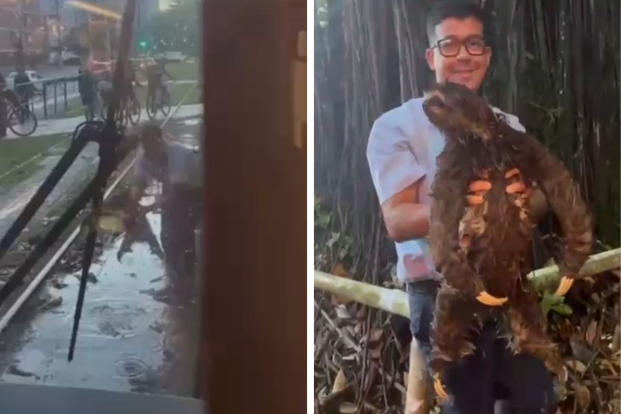 Reprodução/Marcelo Ricky