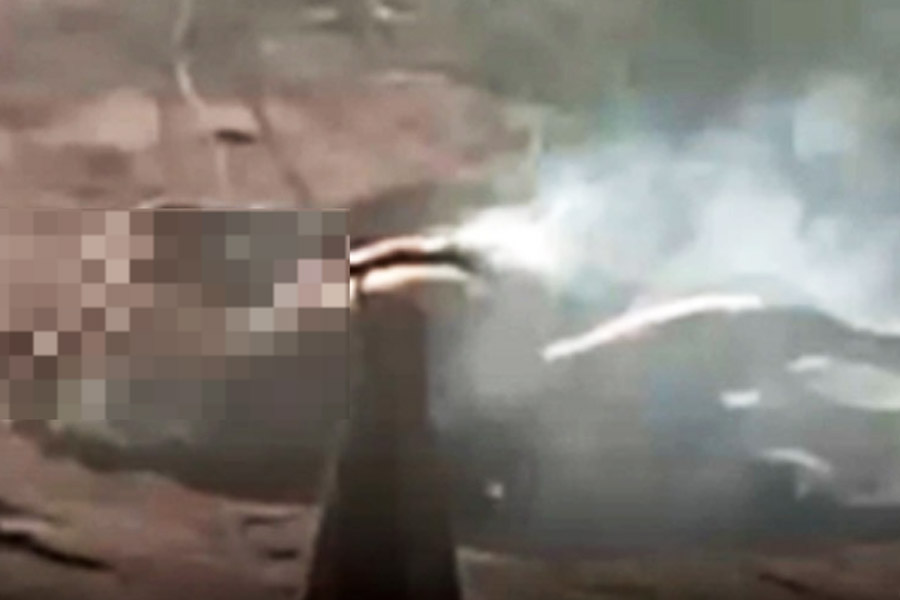 Dois cachorros morrem eletrocutados por fio de alta tensão que se rompeu em Itanhaém