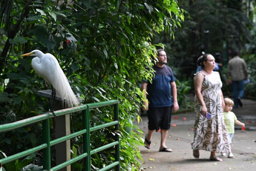 Santos fica entre as cinco melhores do Estado de SP em ranking de sustentabilidade