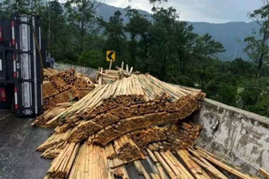 Caminhão tomba e espalha carga de eucalipto pela pista da Cônego Domênico Rangoni
