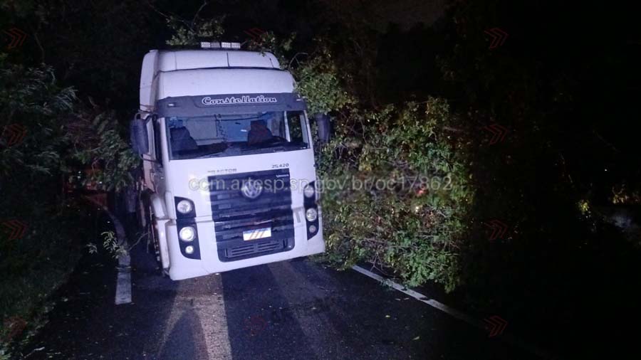 Árvore de grande porte cai sobre carreta na Rodovia Anchieta, em Cubatão